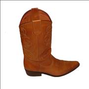 Cowboy Boots